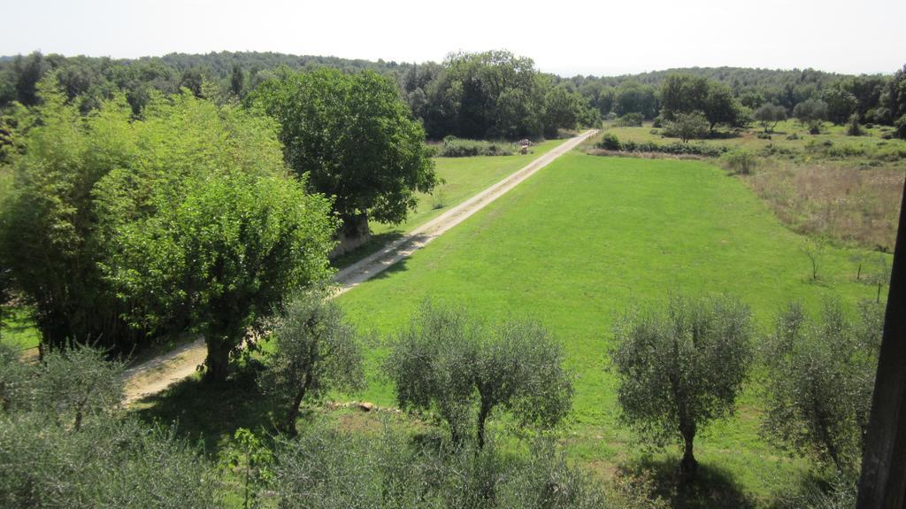 Apartamento La Locaia Siena Exterior foto