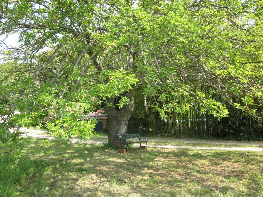 Apartamento La Locaia Siena Exterior foto